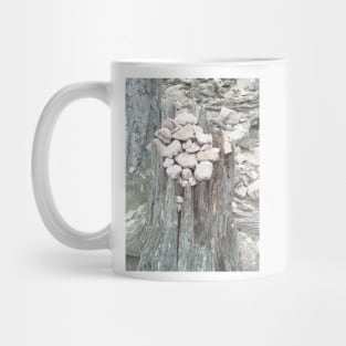 Pebbles on tree stump Mug